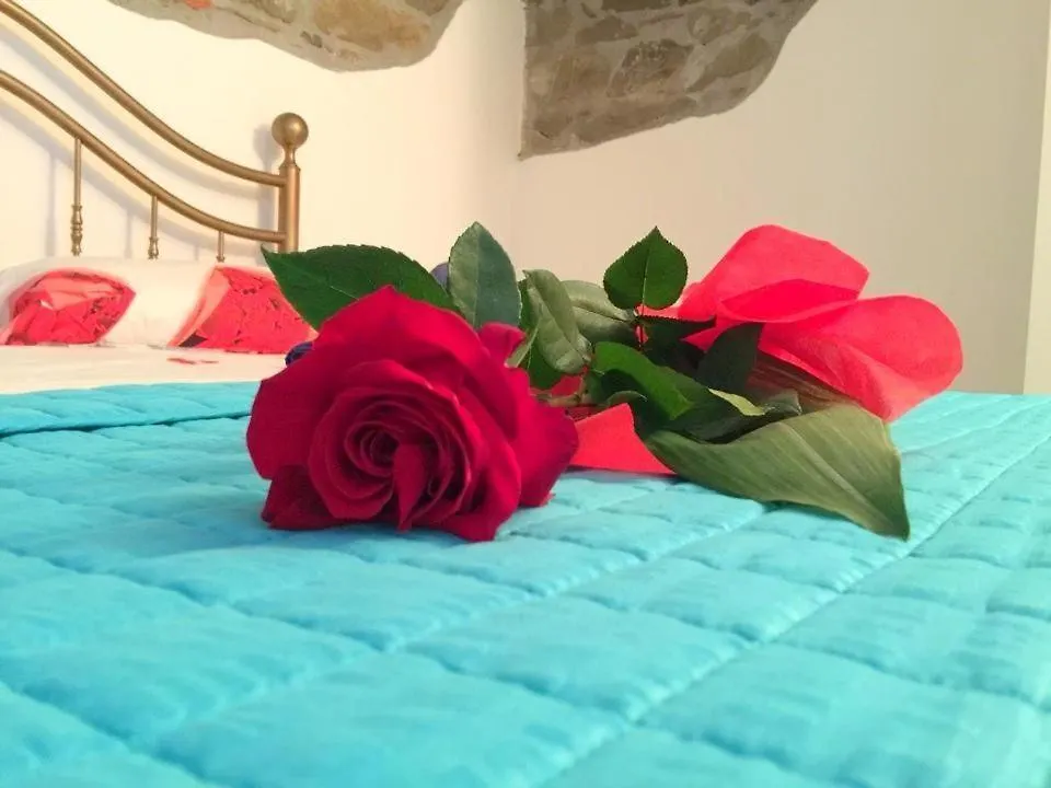 Apartment Orchidea Appartamento Piombino Italy